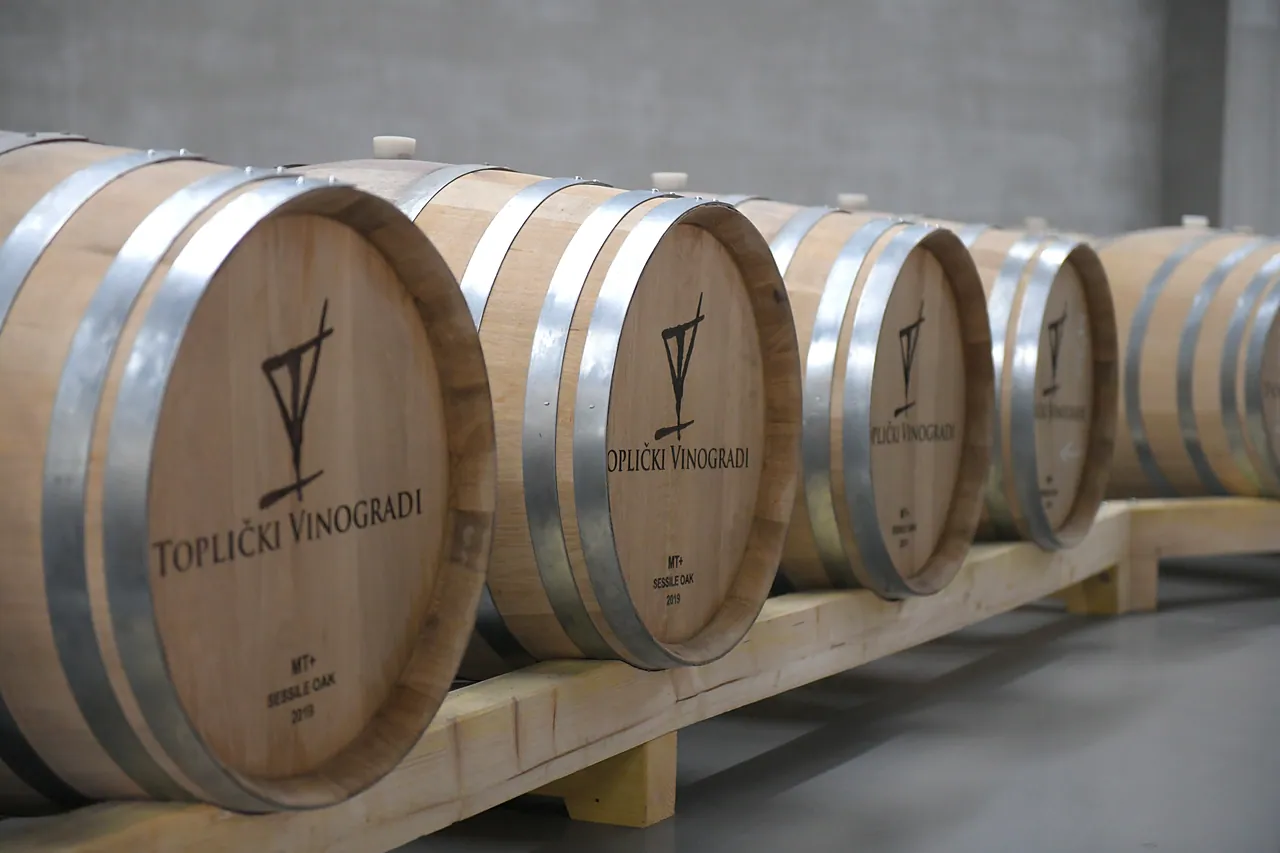A row of new sessile oak barrels, each head branded with the estate mark and the words Toplički Vinogradi.