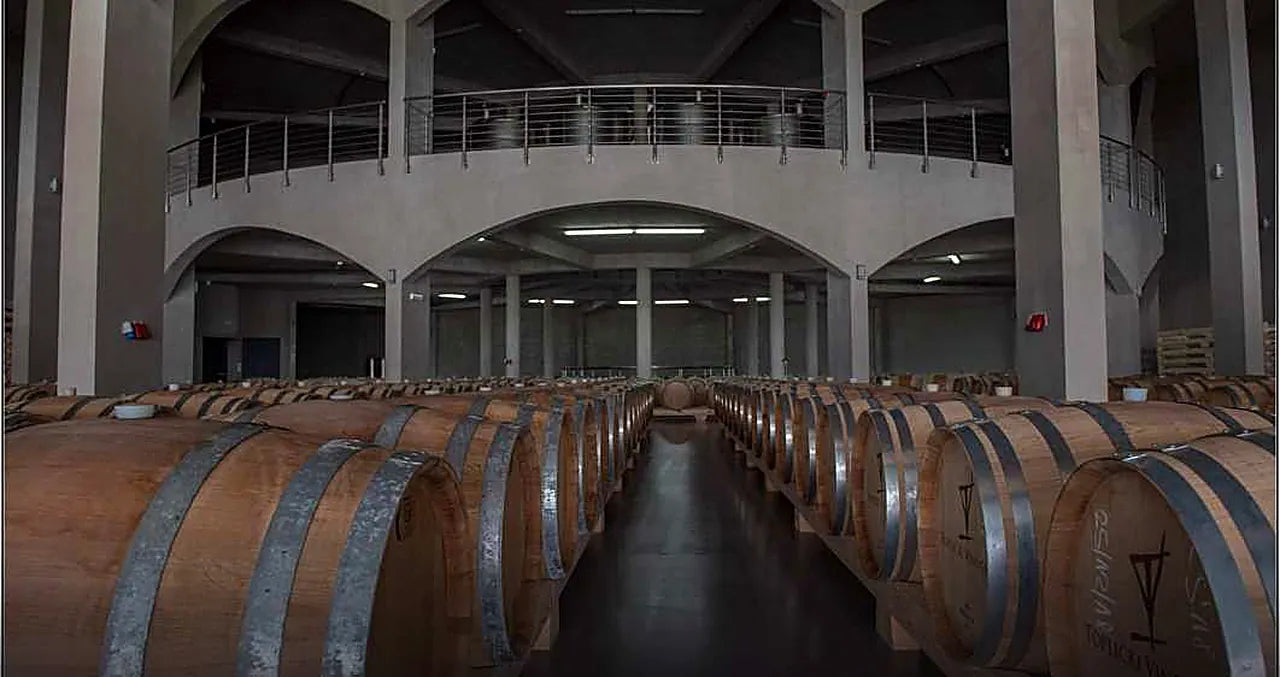 The vaulted cellar under concrete arches, barrels running away in long rows into the dark.
